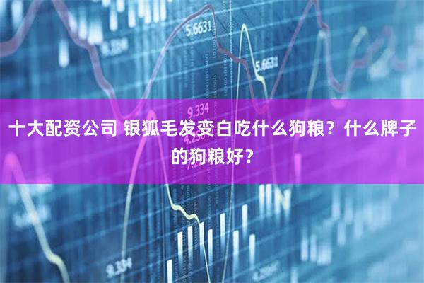 十大配资公司 银狐毛发变白吃什么狗粮？什么牌子的狗粮好？